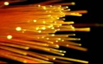 Saint John touted as ‘hidden gem’ for artificial intelligence | CBC News