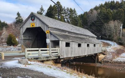 Fundy-St. Martins mayor asks N.B. government to better maintain 2 historic covered bridges | CBC News