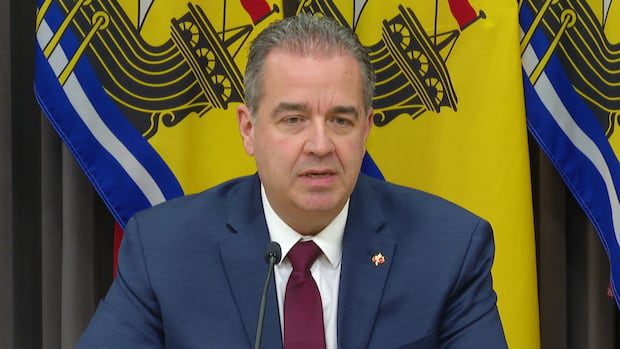 holt-government’s-response-on-systemic-racism-vague-on-details-|-cbc-news