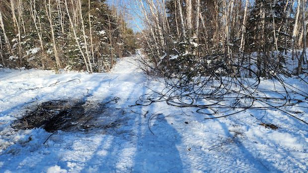 copper-thieves-left-southern-nb.-community-without-bell-service-for-weeks-|-cbc-news