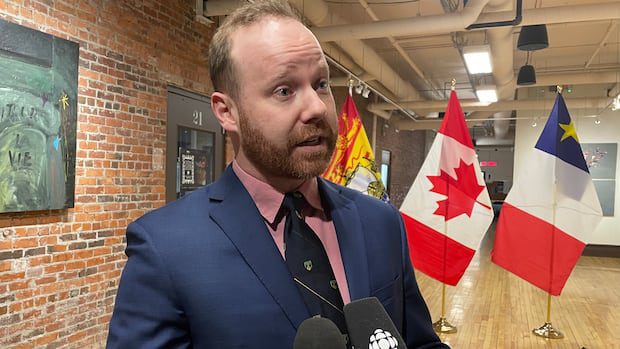 more-money-needed-to-help-new-francophone-immigrants,-multicultural-council-says-|-cbc-news