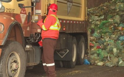 New Brunswick’s proposed province-wide organics program still long way off | CBC News
