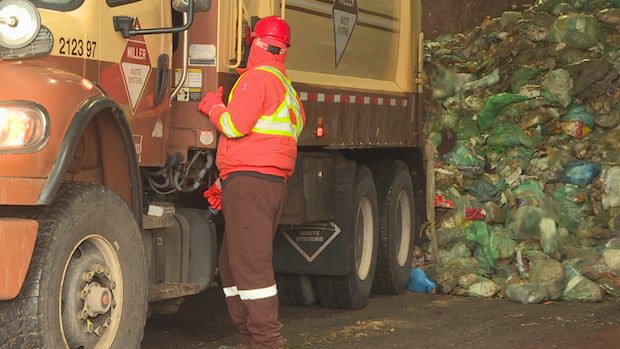 new-brunswick’s-proposed-province-wide-organics-program-still-long-way-off-|-cbc-news