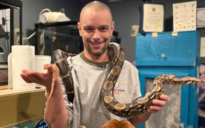 High heat bills could spell bad news for St. Stephen man’s cold-blooded pets | CBC News