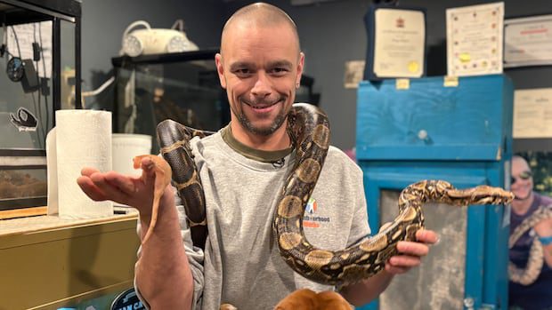 high-heat-bills-could-spell-bad-news-for-st.-stephen-man's-cold-blooded-pets-|-cbc-news