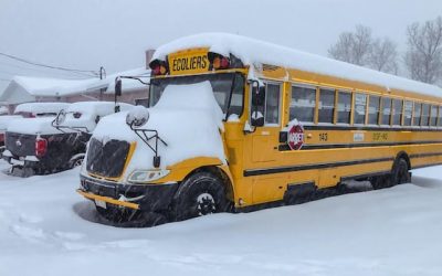 Schools in southern N.B. closed due to snowy conditions | CBC News