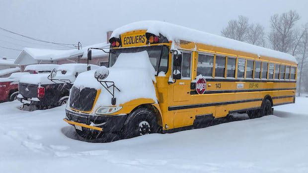 schools-in-southern-nb.-closed-due-to-snowy-conditions-|-cbc-news