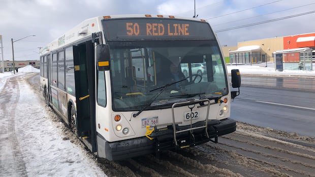 moncton-transit-plan-calls-for-longer-hours,-more-coverage-and-15-minute-frequency-|-cbc-news