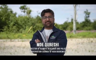 EcoNews — Forest futures, calls for clean air and stand up to the Sisson Mine