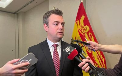 Province appeals ruling that dissolution of Vitalité board violated francophone rights | CBC News