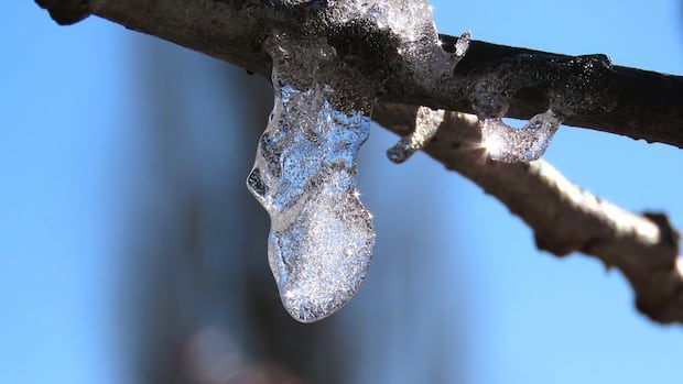 snow-and-ice:-enjoy-these-photos-from-around-new-brunswick-|-cbc-news