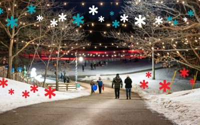 PolarFest | Festipolaire