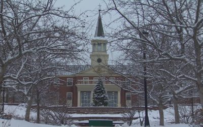 Holt Liberals look at merging, privatizing some universities | CBC News