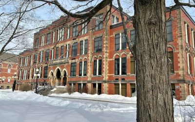 Trio of N.B. rulings narrow scope of Charter’s language provisions | CBC News