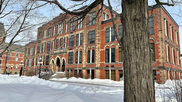 trio-of-nb.-rulings-narrow-scope-of-charter’s-language-provisions-|-cbc-news