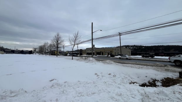 cemetery-owned-land-one-of-2-properties-saint-john-council-approves-for-commercial-use-|-cbc-news