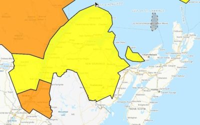 Snow and ice storm closes most N.B. schools | CBC News