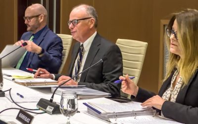 It won’t be going viral, but N.B. Power’s rate hearing is online, start to finish | CBC News