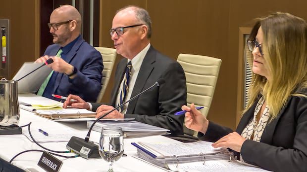 it-won't-be-going-viral,-but-nb.-power's-rate-hearing-is-online,-start-to-finish-|-cbc-news