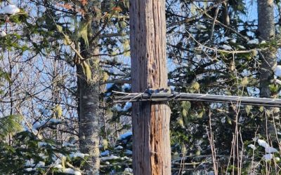 Copper theft shut down internet for some Bell users in southwest N.B. | CBC News