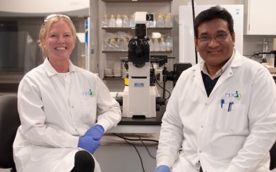 Breakthrough in N.B. oyster research to help fight deadly shellfish disease | CBC News