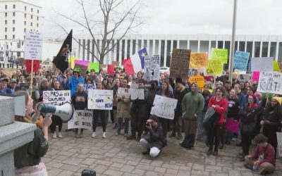 Holt government opts against cuts to post-secondary funding in new budget | CBC News