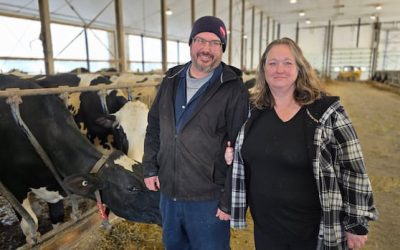 Livestock owners shocked by loss of provincial veterinary service | CBC News