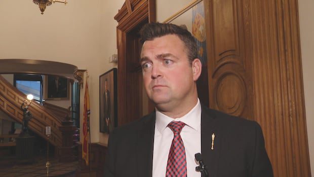 proposed-law-change-to-give-victims-of-intimate-partner-violence-more-ways-to-seek-justice-|-cbc-news