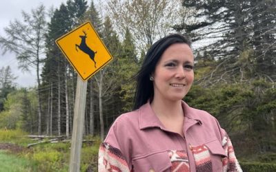 Commission warns N.B. residents against using Toronto insurance-related company | CBC News