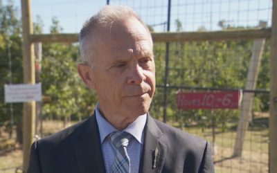 Province to subsidize travel costs as N.B. shifts to private veterinary service | CBC News