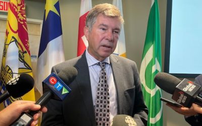 New virtual health-care provider isn’t ready, but there are no delays, minister says | CBC News