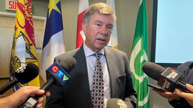 new-virtual-health-care-provider-isn't-ready,-but-there-are-no-delays,-minister-says-|-cbc-news