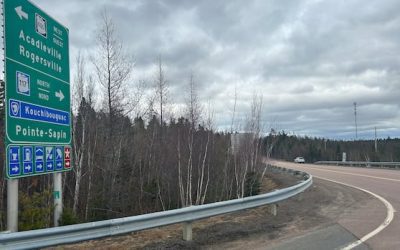 Man admits to 2024 murder in eastern N.B. | CBC News