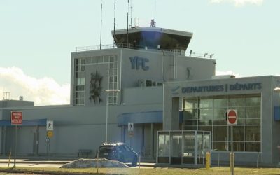 Pilot dies in helicopter crash in southern New Brunswick | CBC News