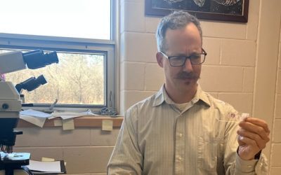 Provincial vet questions the future of veterinary laboratory services | CBC News