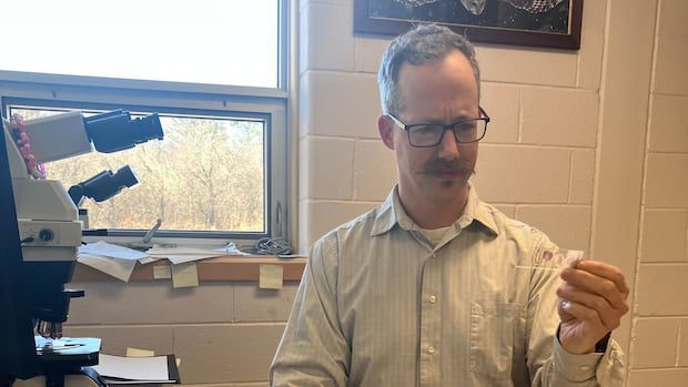 provincial-vet-questions-the-future-of-veterinary-laboratory-services-|-cbc-news