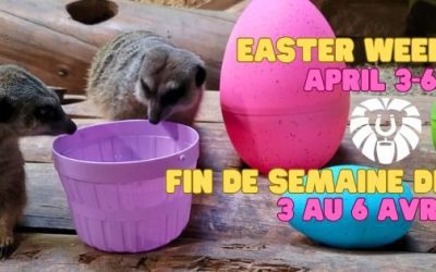 Easter Weekend at the Magnetic Hill Zoo! / Fin de semaine de Pâques au Zoo de Magnetic Hill!