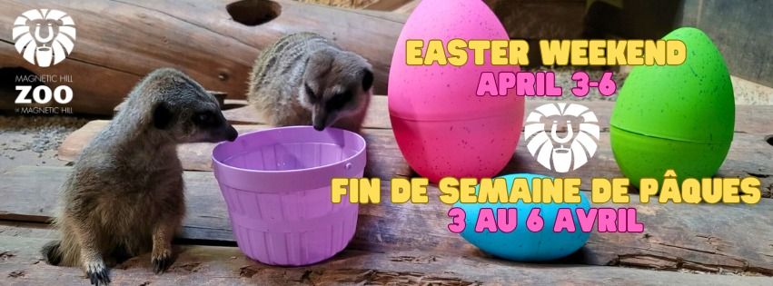 easter-weekend-at-the-magnetic-hill-zoo!-/-fin-de-semaine-de-pques-au-zoo-de-magnetic-hill!