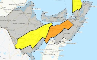Up to 10 hours of freezing rain expected for parts of central, southern N.B. | CBC News