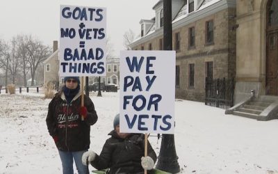 Vet service cut opponents share displeasure, solutions at rally | CBC News