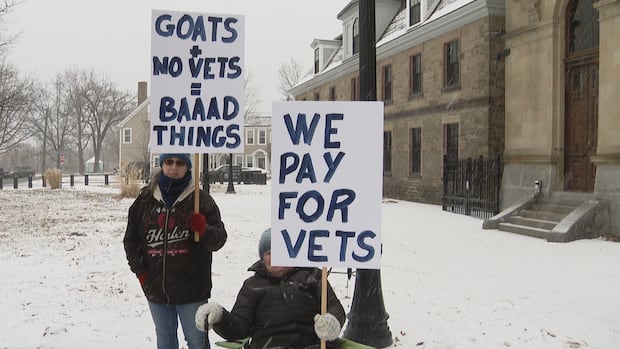 vet-service-cut-opponents-share-displeasure,-solutions-at-rally-|-cbc-news