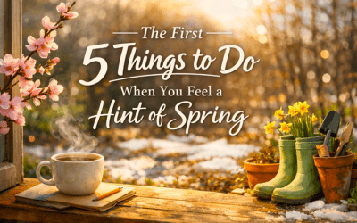 The First 5 Things to Do When You Feel a Hint of Spring