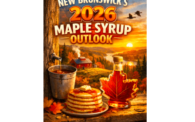 New Brunswick’s 2026 Maple Syrup Outlook