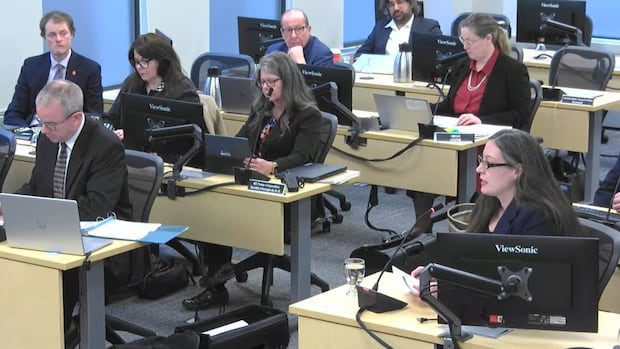 eub-hears-nb.-power’s-gas-plant-side-deal-with-nova-scotia-is-about-saving-ratepayers-money-|-cbc-news