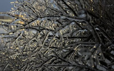 School cancellations, power outages hit N.B. | CBC News