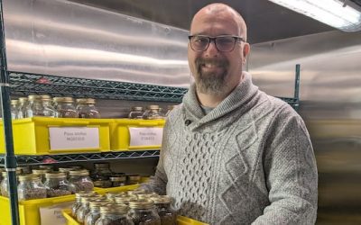 Package of tree seeds from Fredericton joins Artemis II’s round-the-moon mission | CBC News