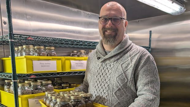 package-of-tree-seeds-from-fredericton-joins-artemis-ii's-round-the-moon-mission-|-cbc-news