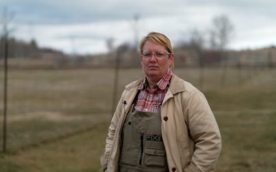 ‘Serious reforms’ coming to how province manages farmland, Agricultural Alliance says | CBC News