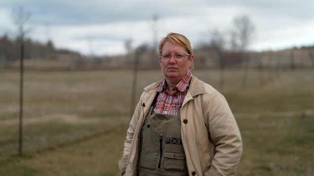 ‘serious-reforms’-coming-to-how-province-manages-farmland,-agricultural-alliance-says-|-cbc-news