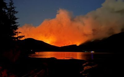 What’s in store for Canada’s 2026 wildfire season? | CBC News